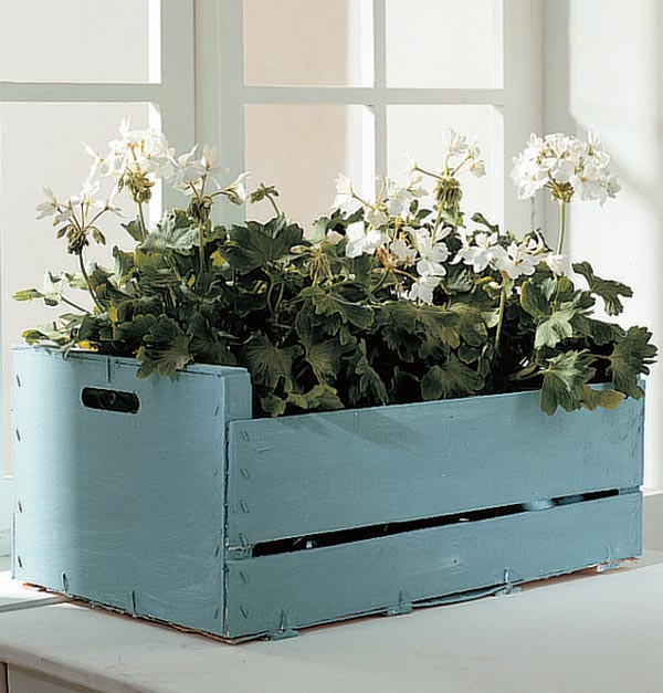 jardín decorar con cajas de fruta