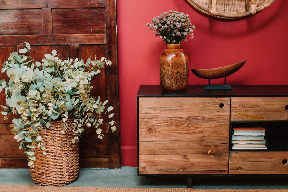 rincón de salón con plantas y accesorios