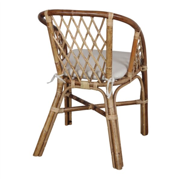 SILLA DE RATTAN SHIBORI trasera